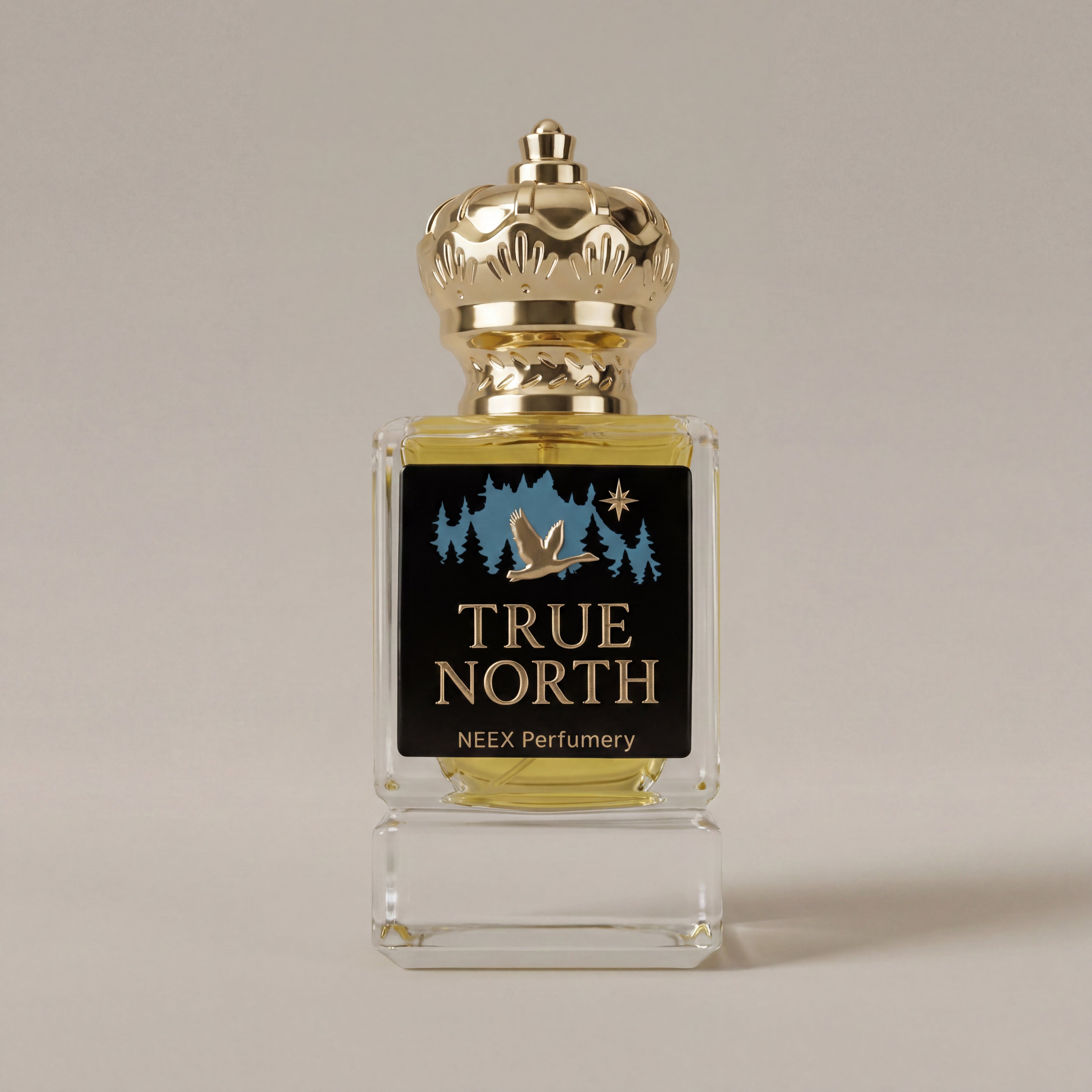 Perfume bottle labeled 'True North' by NEEX Perfumery on a neutral background