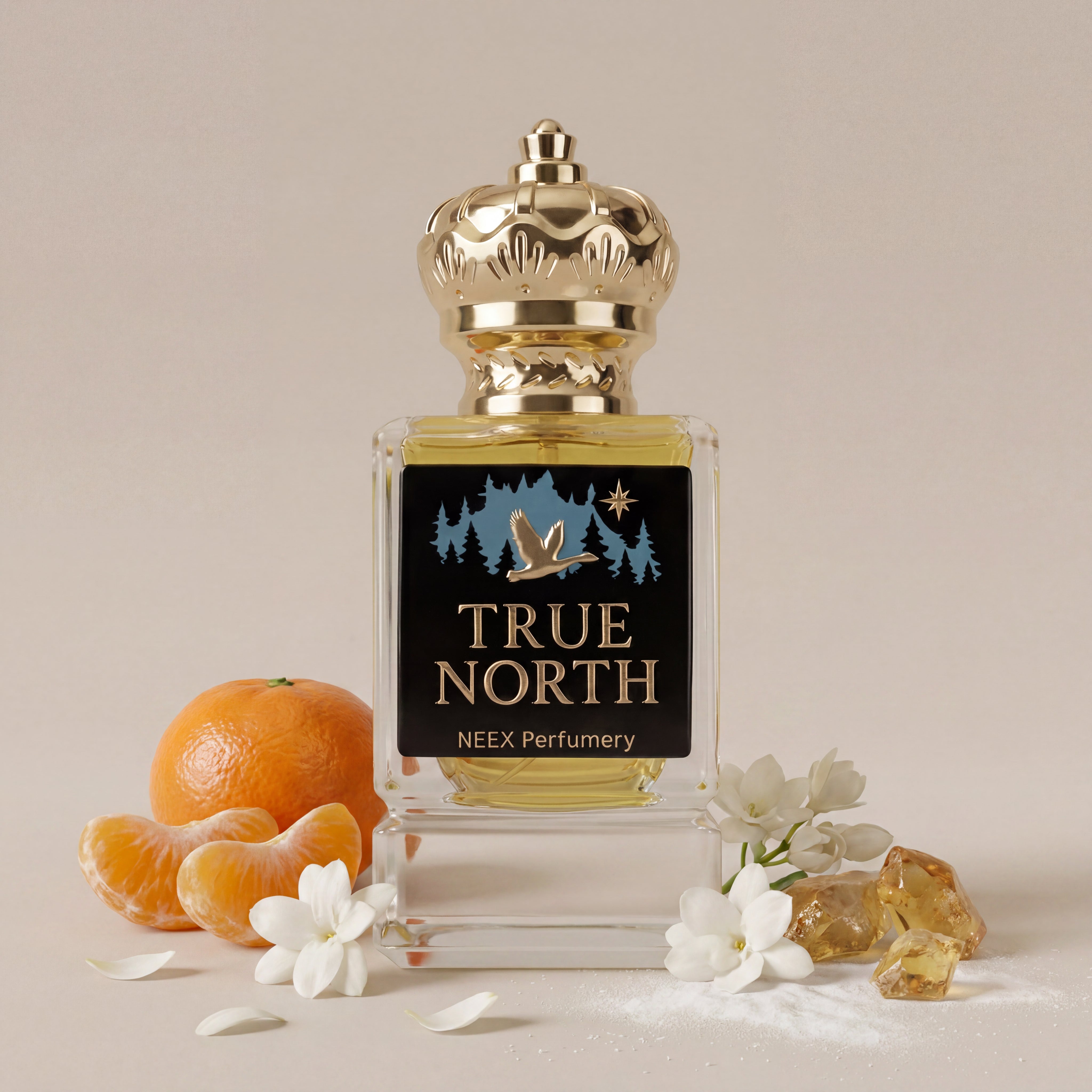 A square glass perfume bottle with a gold crown cap and a black label reading 'TRUE NORTH' and 'NEEX Perfumery', styled with an orange, mandarin segments, white flowers, and amber crystals on a beige background.